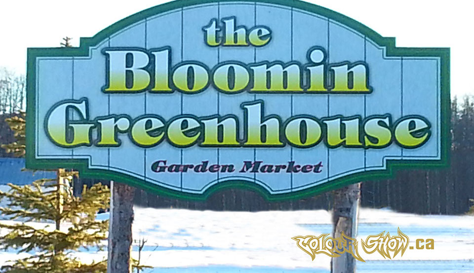 Designed for client and applied, 2 colouir