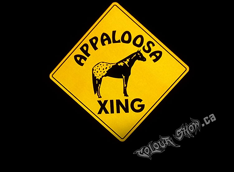 Designed for client and applied, 2 colouir